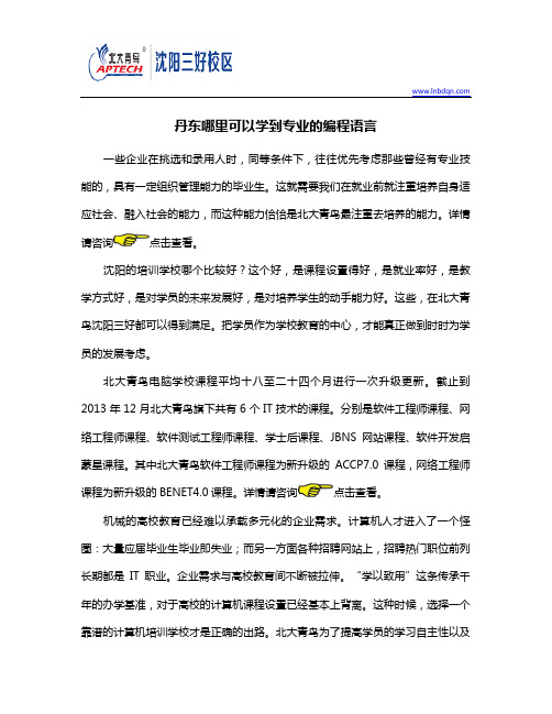 丹东哪里可以学到专业的编程语言