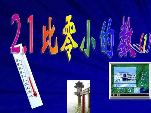 2.1 比零小的数(1)