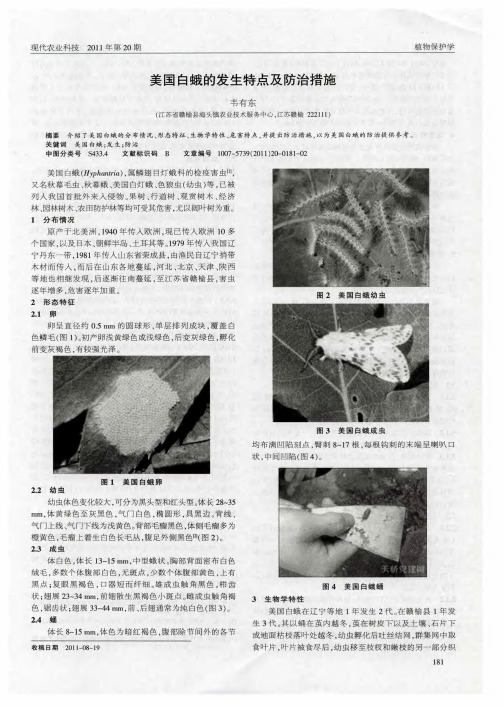 美国白蛾的发生特点及防治措施