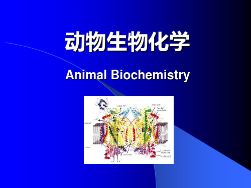 动物生物化学0578