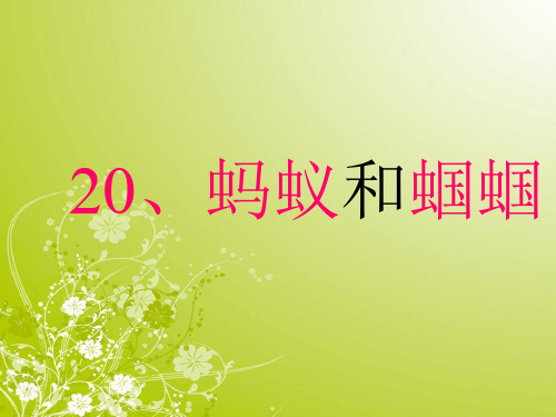 《蚂蚁和蝈蝈》PPT课件