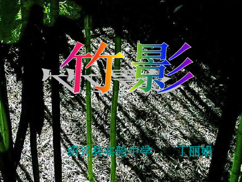 七年级语文竹影1(2019年11月)