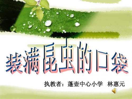 装满昆虫的口袋课件   林惠元