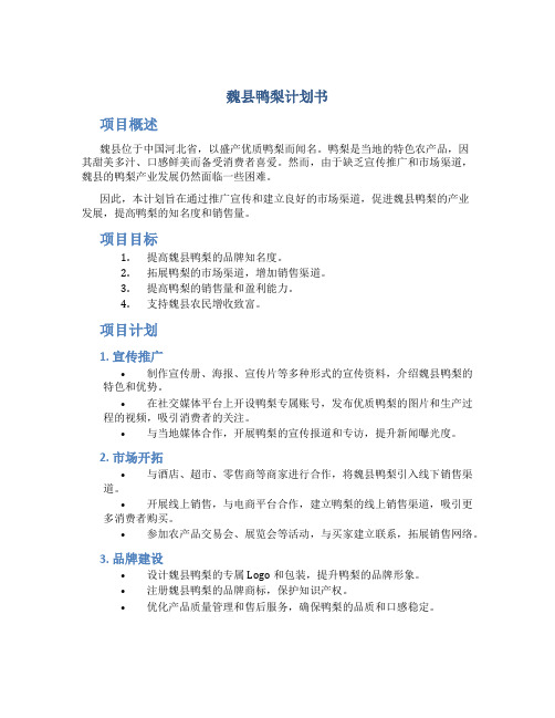 魏县鸭梨计划书