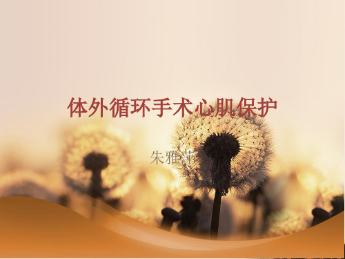 体外循环心肌保护讲解