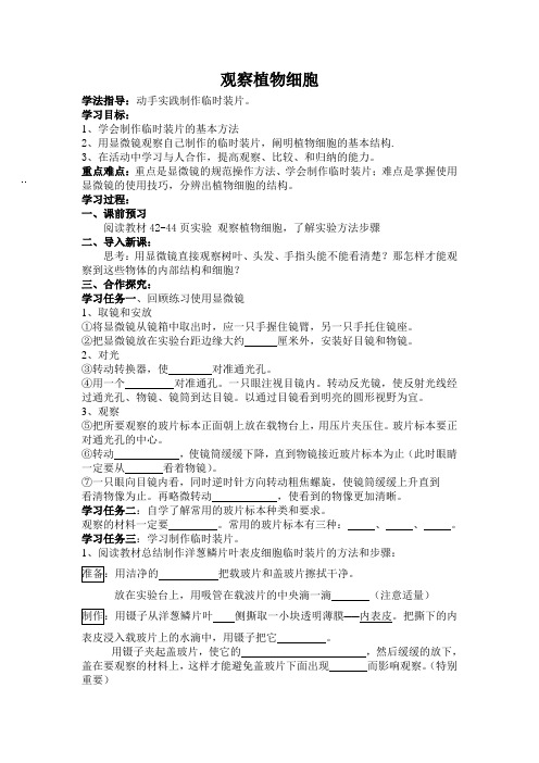 观察植物细胞导学案