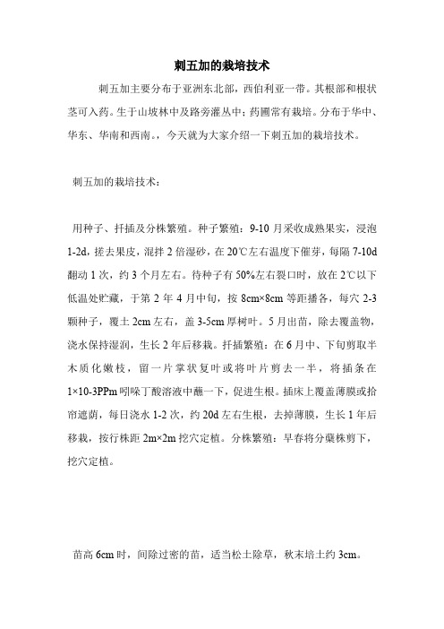 刺五加的栽培技术.doc