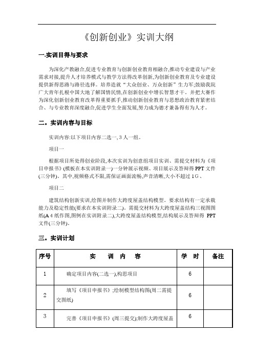 创新创业实训大纲