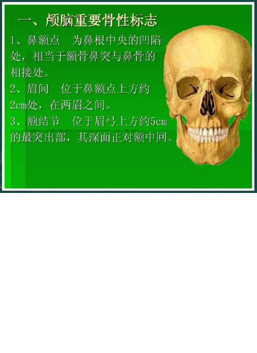 神经外科手术入路与解剖珍藏版.ppt