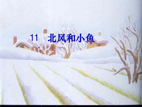 北风和小鱼课件(苏教一上)