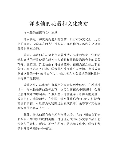 洋水仙的花语和文化寓意