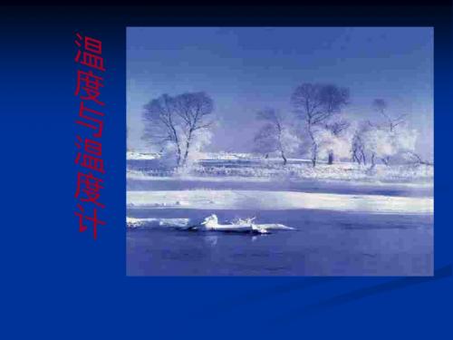 温度计ppt30 人教版