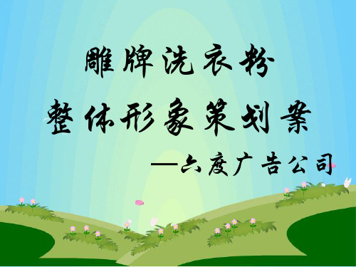 雕牌洗衣粉