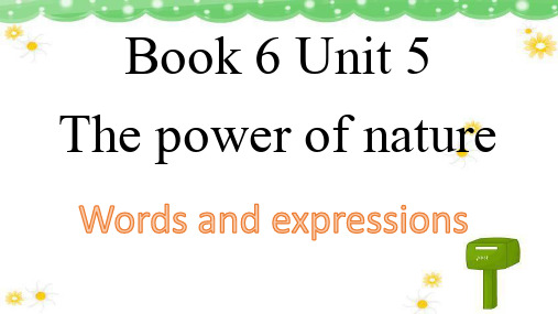 Unit 5 Words and expressions 课件 人教版高中英语选修六