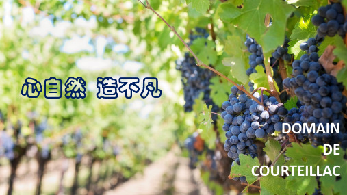 此课程不对外显示