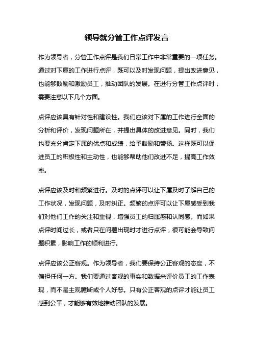 领导就分管工作点评发言