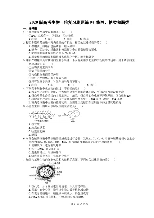 【高考一轮】2020版高考生物一轮复习刷题练04 核酸、糖类和脂类(含答案解析)