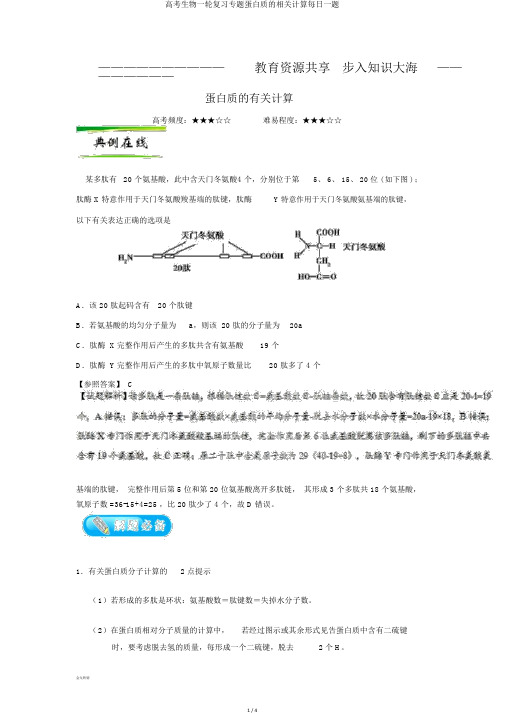 高考生物一轮复习专题蛋白质的相关计算每日一题