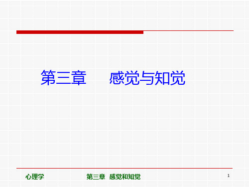 第三章-感觉和知觉PPT课件