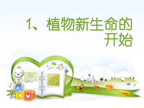 2021完整版《植物新生命的开始》植物的生长变化PPT课件2