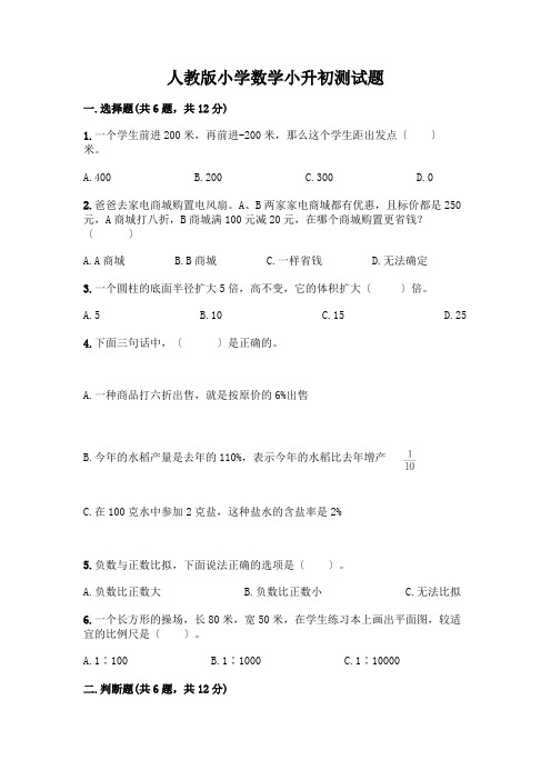 小学数学小升初测试题及完整答案(易错题)及参考答案【名师推荐】