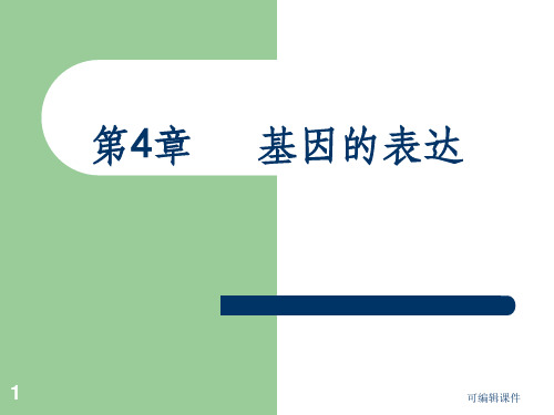 生物必修二第四章复习ppt课件