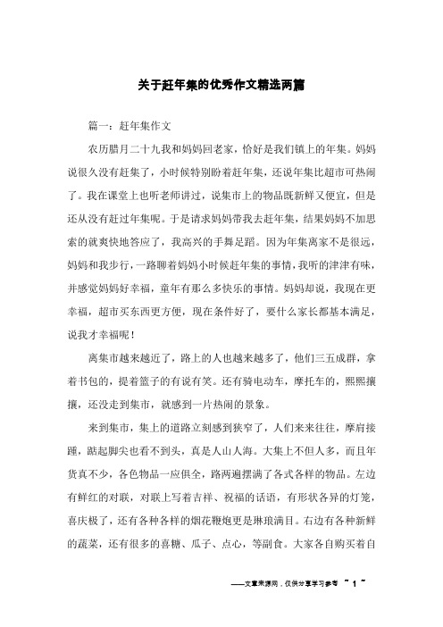 关于赶年集的优秀作文精选两篇