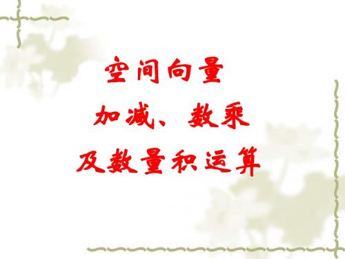 空间向量加减数乘及数量积运算解读