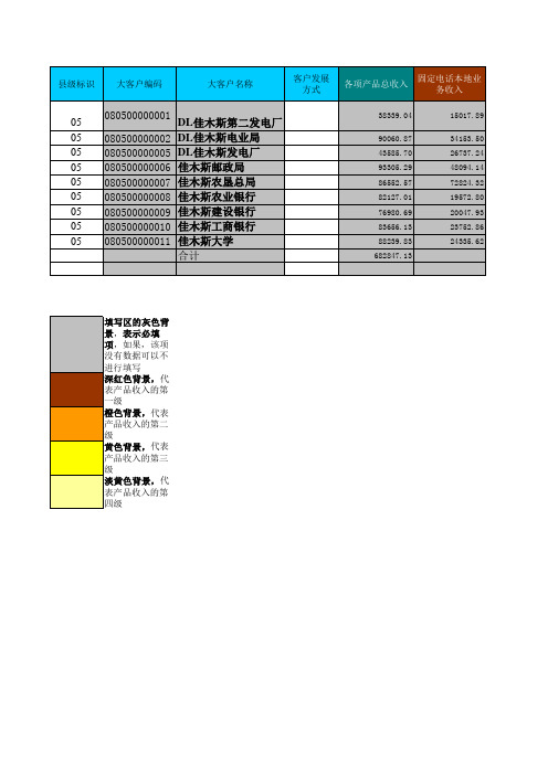 大客户名称