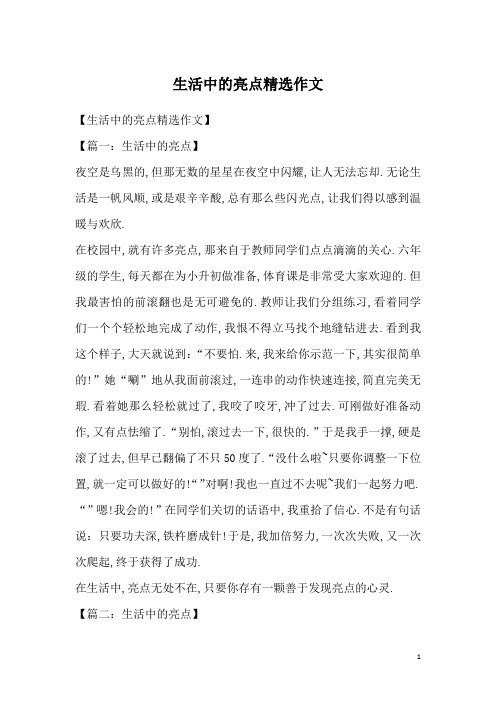 生活中的亮点精选作文