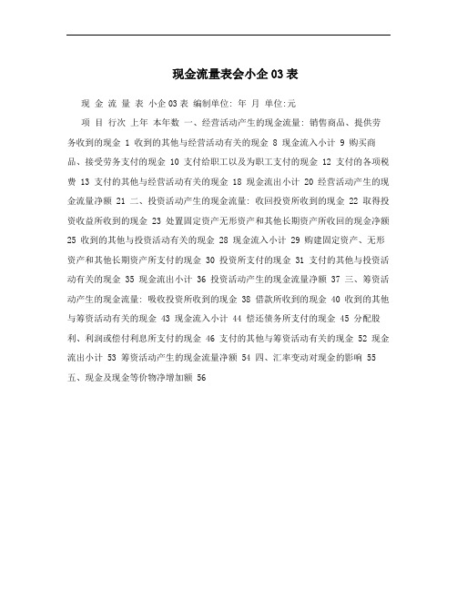 现金流量表会小企03表