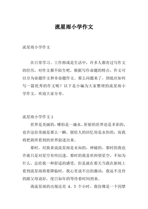 流星雨小学作文
