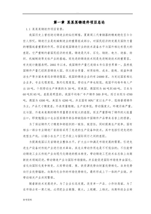某集团球铁衬套项目可行性实施报告