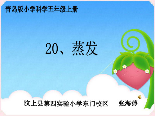 青岛版小学科学《蒸发》课件