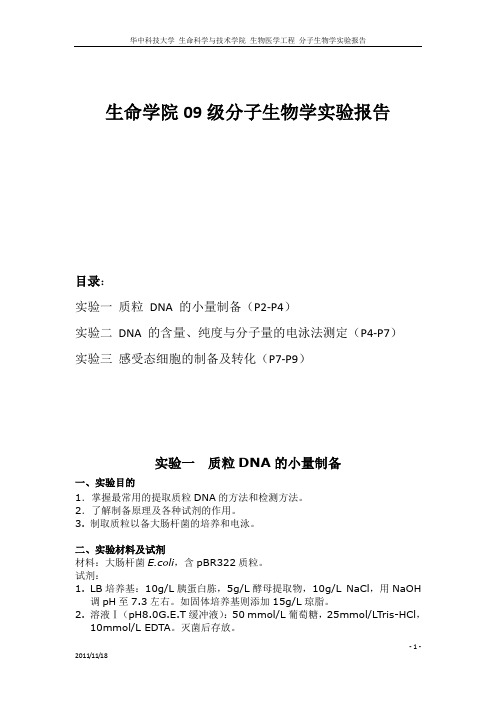 分子生物学实验报告