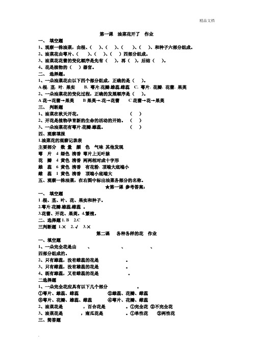第一课  油菜花开了作业
