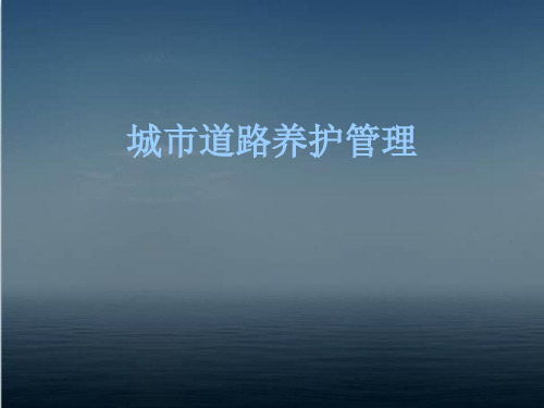 城市道路养护管理  ppt课件