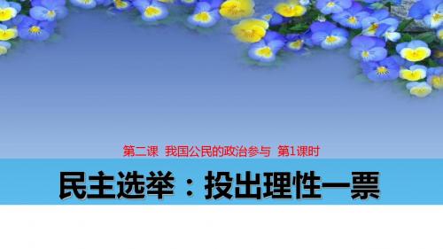 2.1 民主选举：投出理性一票 (共28张PPT)