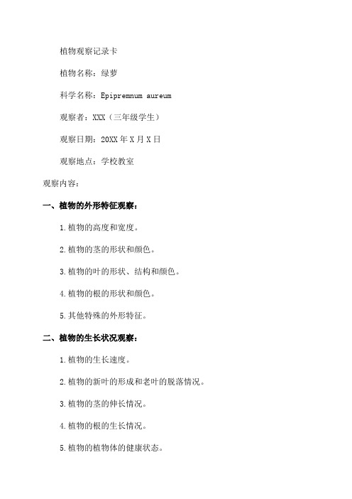 三年级观察植物绿萝记录卡