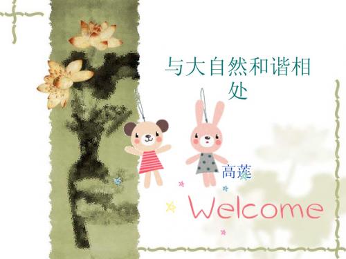 与大自然和谐相处复习课