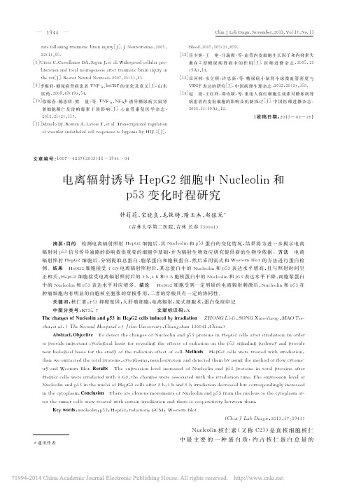 电离辐射诱导HepG2细胞中Nu_省略_leolin和p53变化时程研究_钟莉莉