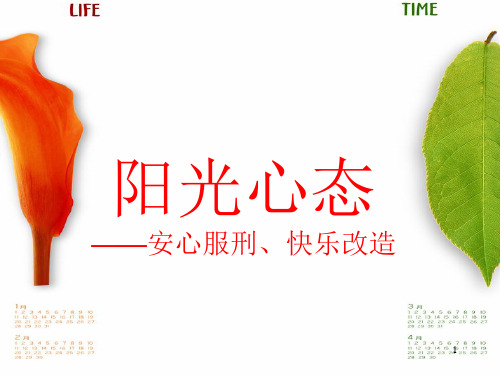 罪犯心理健康(课堂PPT)