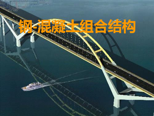 型钢混凝土结构 ppt课件