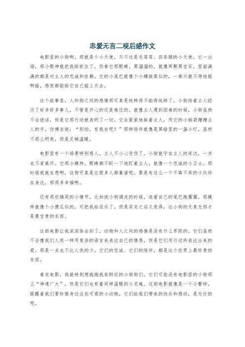 忠爱无言二观后感作文