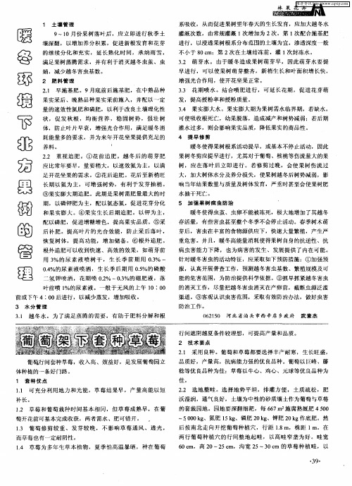 葡萄架下套种草莓