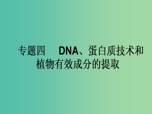 高考生物一轮复习 专题四 DNA、蛋白质技术和植物有效成分的提取 新人教版选修1