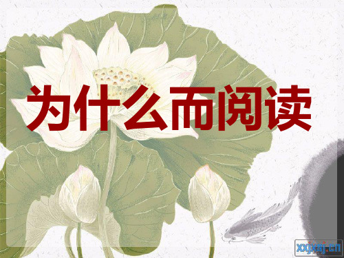 阅读悦读越读