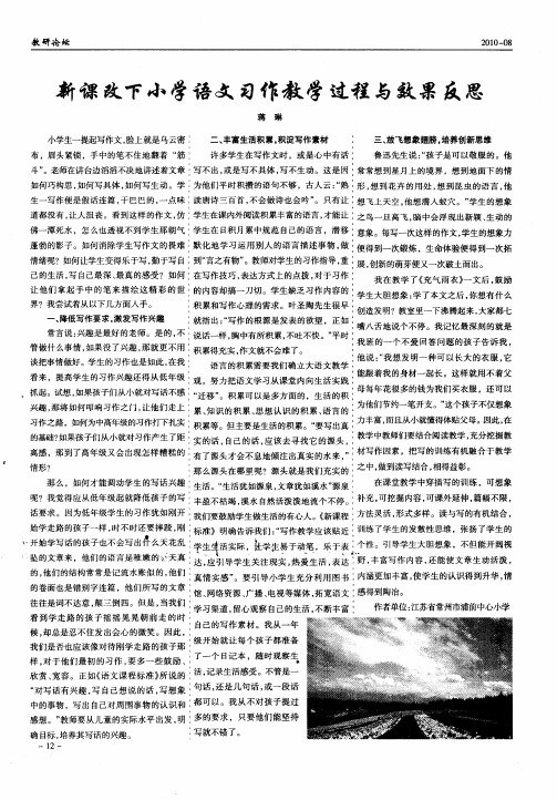 新课改下小学语文习作教学过程与效果反思