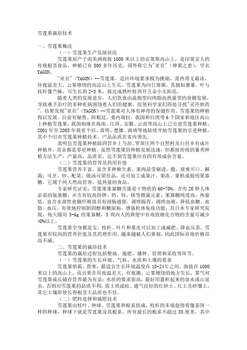 雪莲果栽种技术成长特征及效用