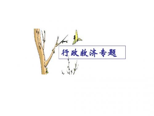 行政救济法
